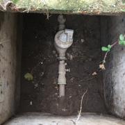 Img 1731web