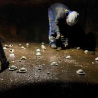 Démontage des anciennes buselures